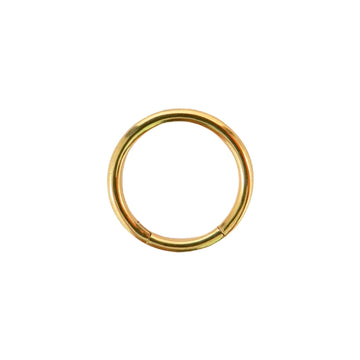 Hinged Segment Ring
